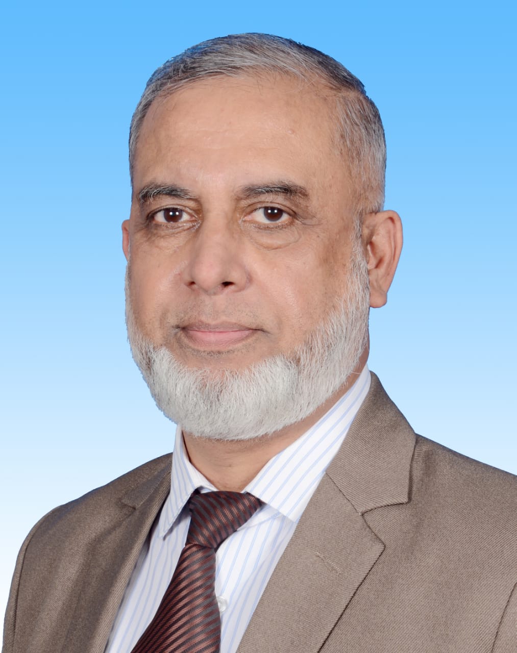 Professor Dr Mohammed Hossam-E-Haider
